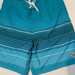 Teal Striped Swim Shorts